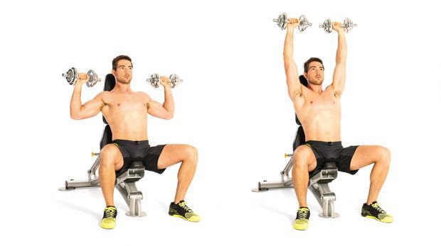 تمرين Seated Dumbbell Press