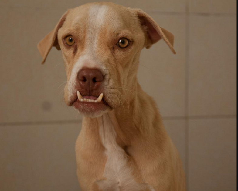 d8aad986d8b2d98ad9841