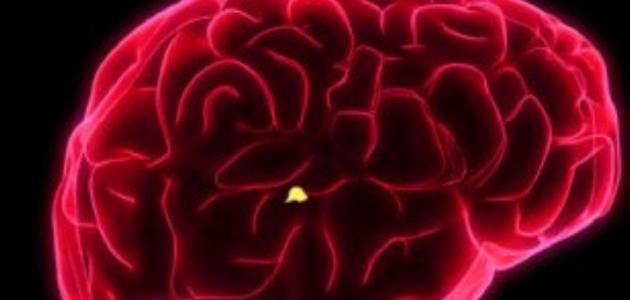 تنشيط الغدة الصنوبرية