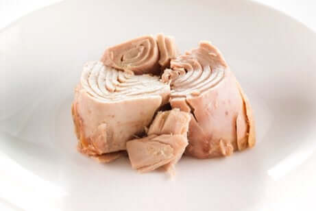 d8aad988d986d8a9 برغر التونة