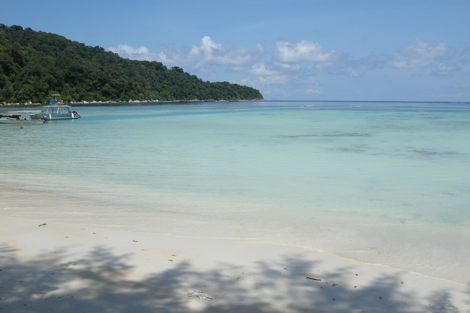 جزيرة بيسار جزيرة بيسار