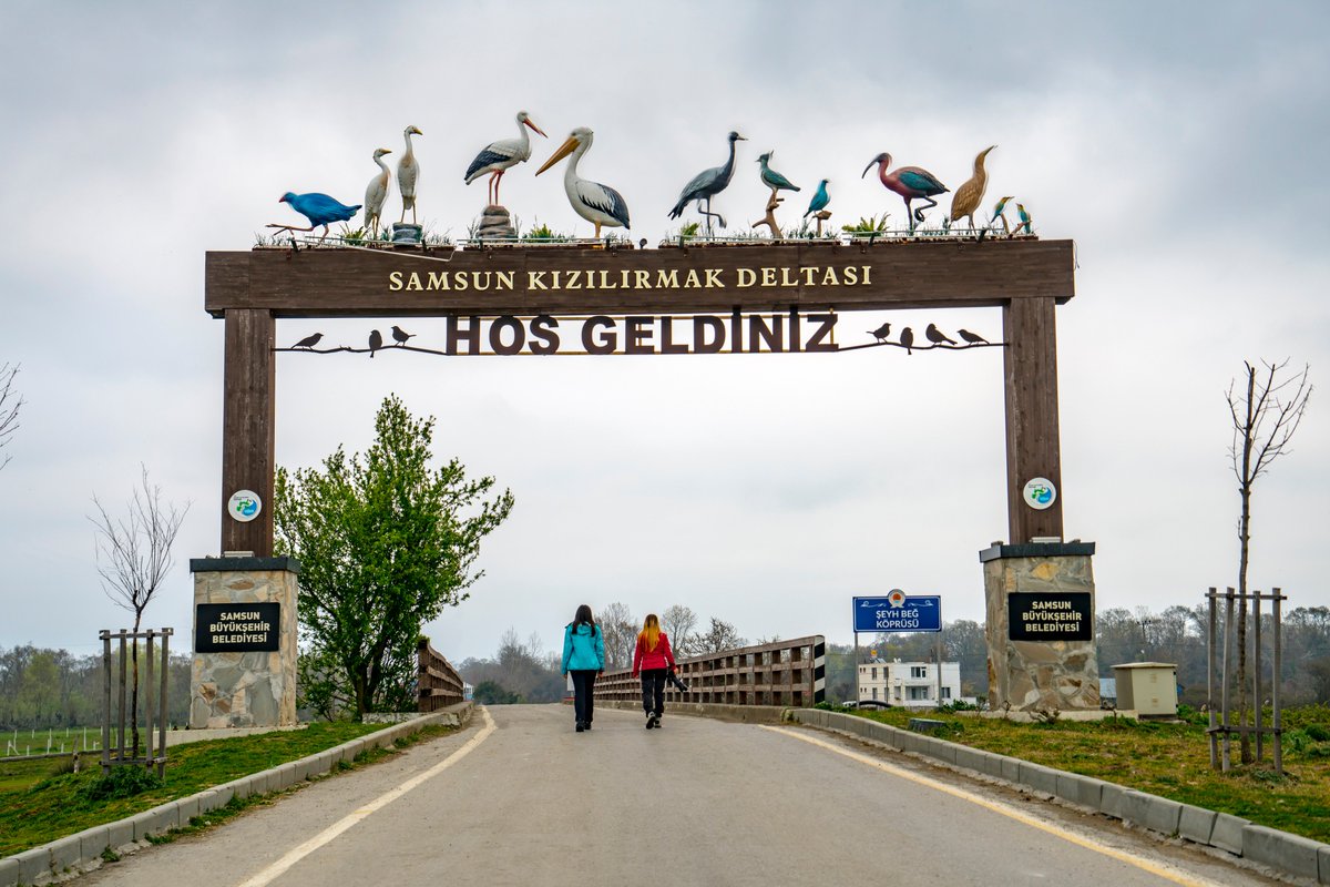 d8acd986d8a9-d8a7d984d8b7d98ad988d8b1 جنة الطيور