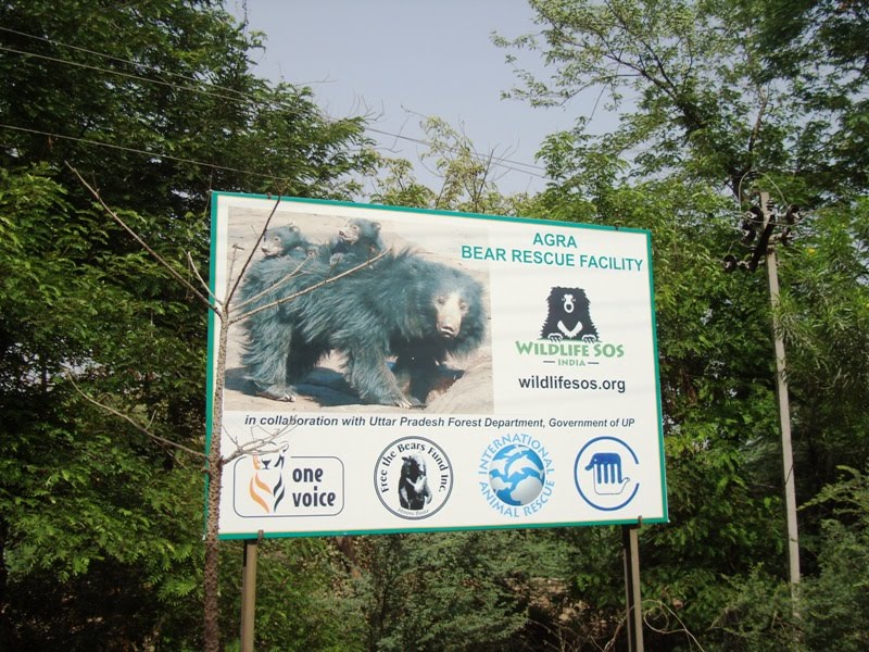 حديقة إنقاذ الحياة البرية حديقة إنقاذ الحياة البرية