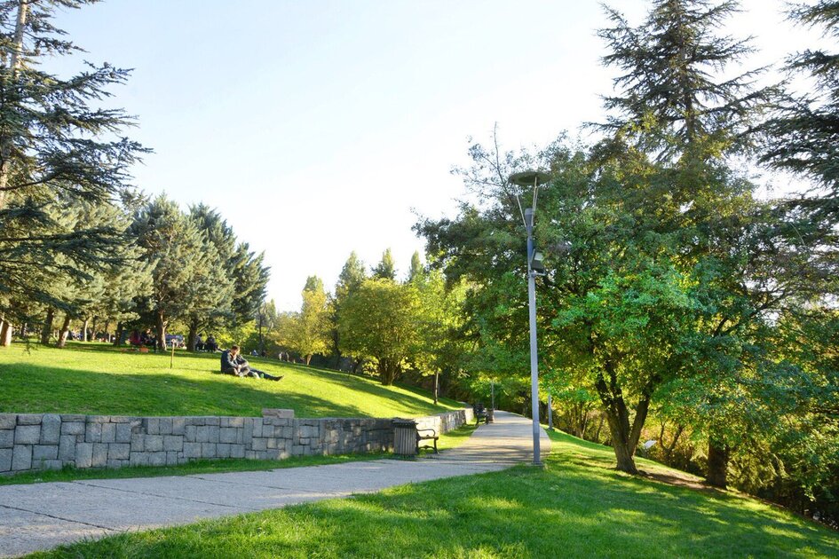 d8add8afd98ad982d8a9-d8a7d984d8abd8a7d986d98ad8a9 حديقة الـ 50 عام