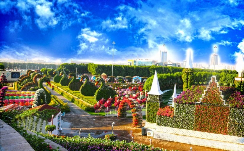 d8add8afd98ad982d8a9-d8a7d984d8b2d987d988d8b1-d981d98a-d8afd8a8d98a1-825x510-2 مواعيد حديقة الزهور في دبي