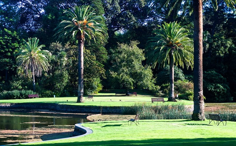 d8add8afd98ad982d8a9-d8a7d984d8b3d984d8a7d985-d8a7d984d8b1d98ad8a7d8b6-825x510-2 حديقة السلام الرياض