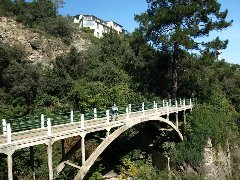 حديقة النباتات الوطنية حديقة النباتات الوطنية