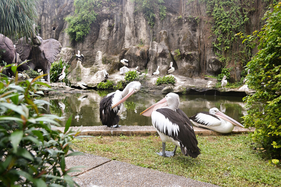 حديقة حيوان راغون حديقة حيوان راغون