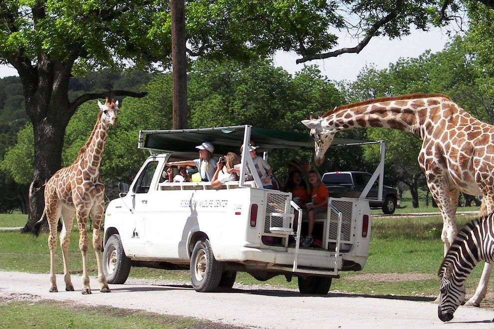 حديقة حيوان Parco Natara Viva حديقة حيوان Parco Natara Viva