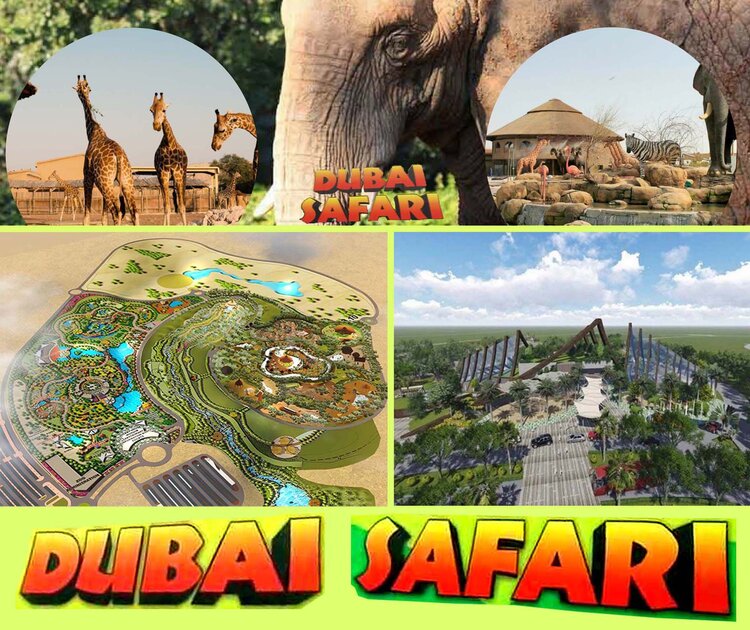حديقة سفاري دبي حديقة سفاري دبي