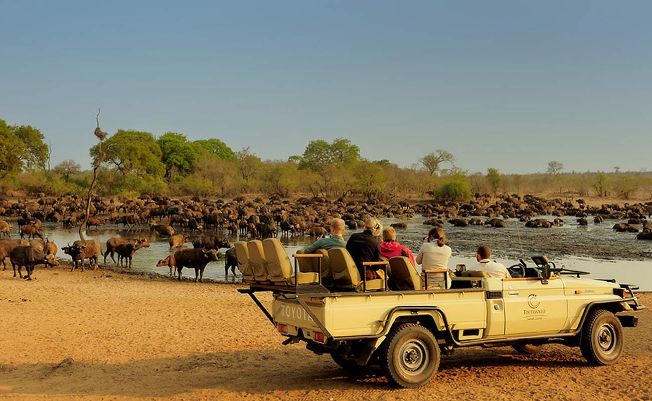 حديقة كروجر الوطنية بجنوب افريقيا حديقة كروجر الوطنية بجنوب افريقيا