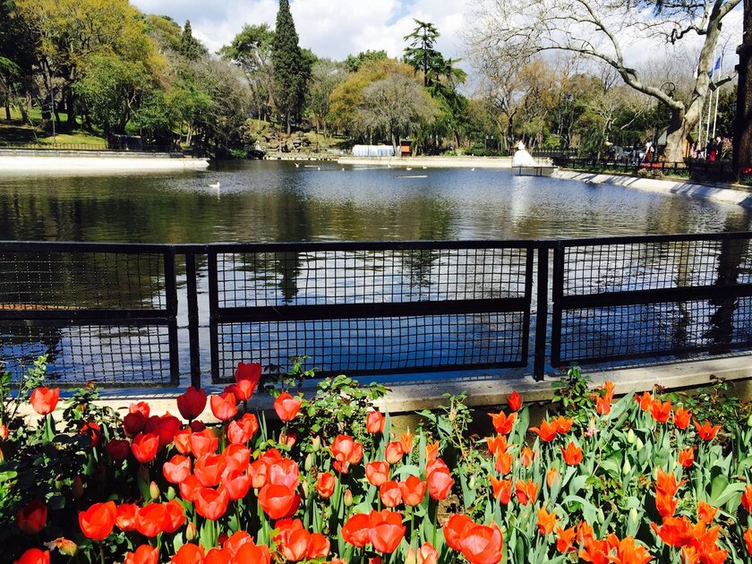 حديقة يلدز حديقة يلدز