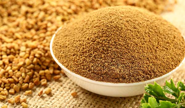 d8add984d8a8d8a9-d985d8b7d8add988d986d8a9 حلبة مطحونة