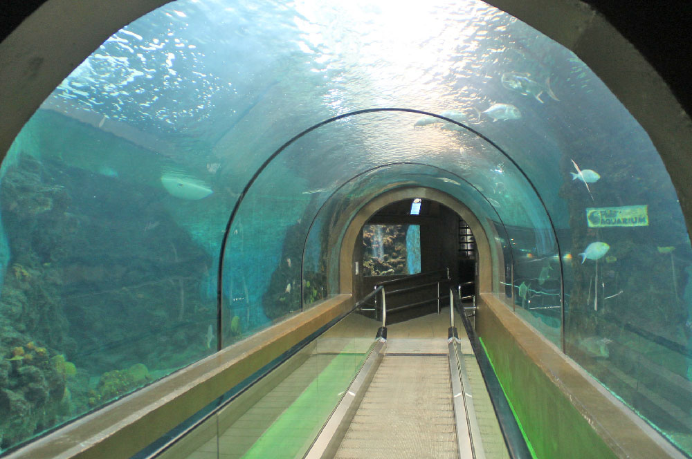 d8add988d8b6-d8b3d985d983-d8a8d988d983d98ad8aa حوض سمك بوكيت