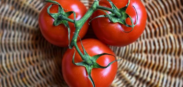 رجيم الطماطم