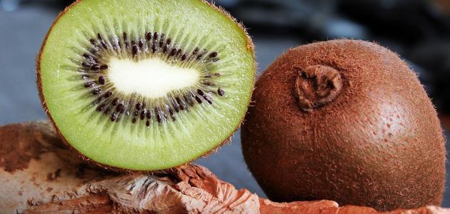 رجيم الكيوي