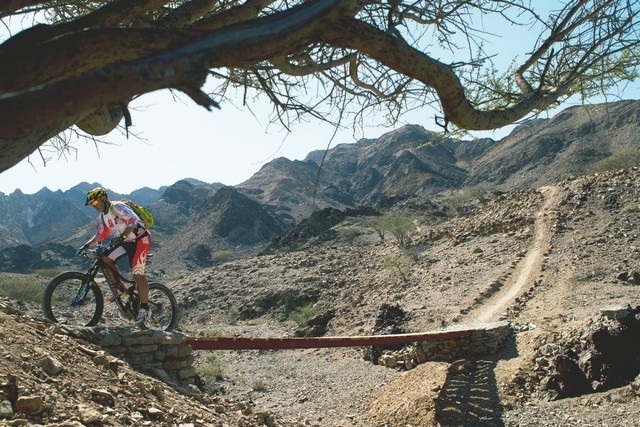 ركوب الدراجات الهوائية الجبلية ركوب الدراجات الهوائية الجبلية