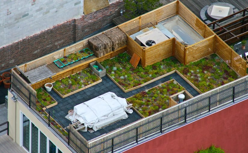 d8b2d8b1d8a7d8b9d8a9-d8a7d984d8a7d8b3d8b7d8ad-825x510-2 كيفية زراعة الاسطح المنزلية