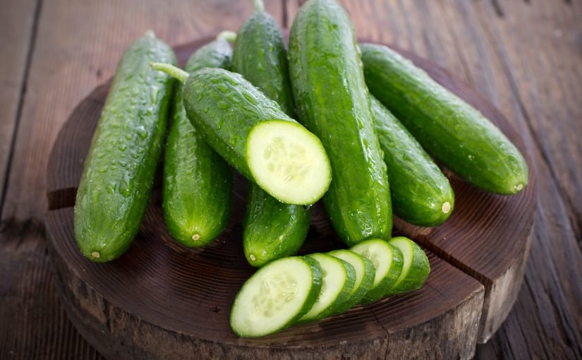 d8b2d8b1d8a7d8b9d8a9-d8a7d984d8aed98ad8a7d8b1-825x510-2 زراعة الخيار