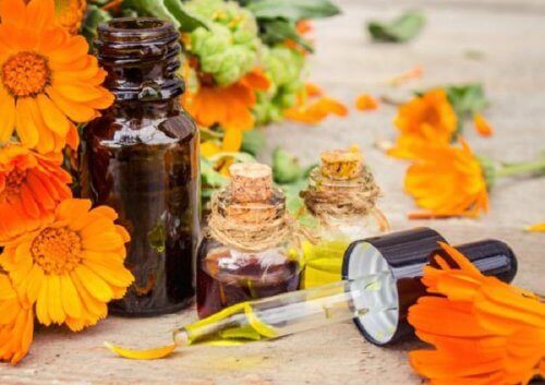 d8b2d987d8b1d8a9-d8a7d984d8b9d8b7d8a7d8b3-3 زيت الزيتون وزهرة العطاس