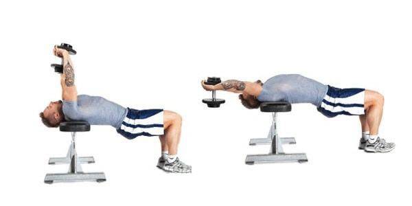 سحب الذراع مع فردهما (Straight-Arm Pullover)