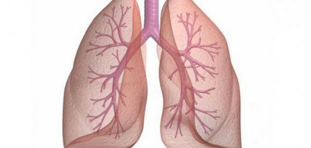 سرطان الرئة المرحلة الرابعة