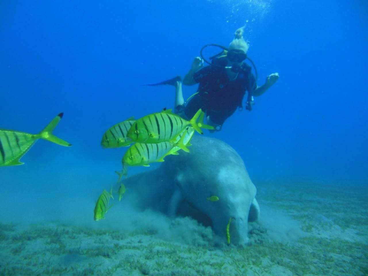 السياحة الترفيهية سياحة ترفيهية