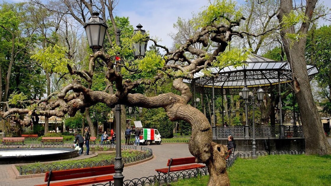 سيتي جاردن سيتي جاردن