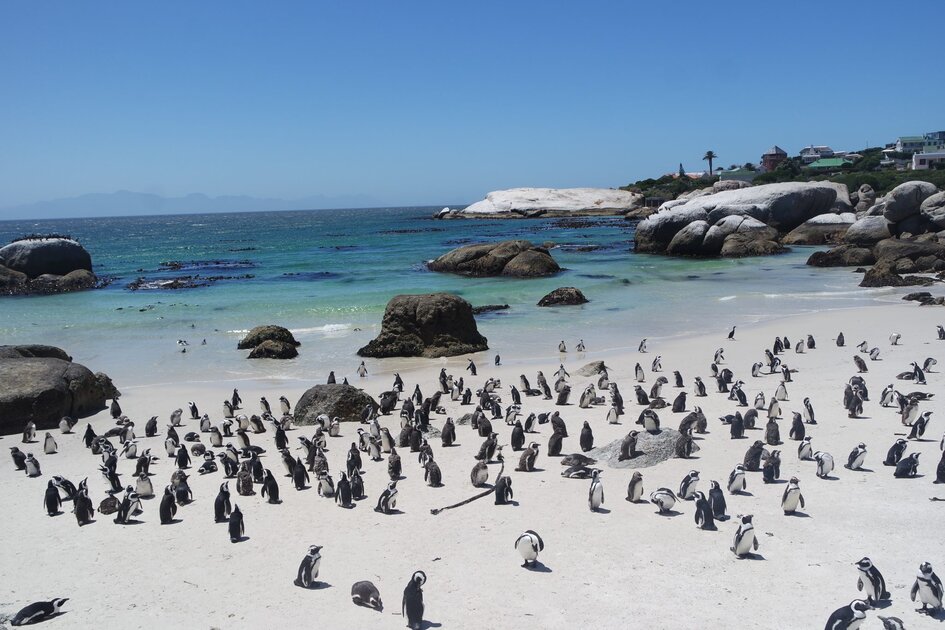 شاطيء بولدرز شاطيء بولدرز