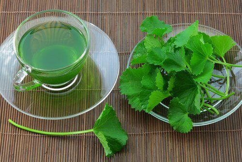 شاي الكرفس لعلاج مشكلة ارتفاع ضغط الدم