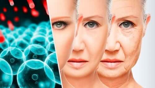 d8b4d98ad8aed988d8aed8a9 شيخوخة