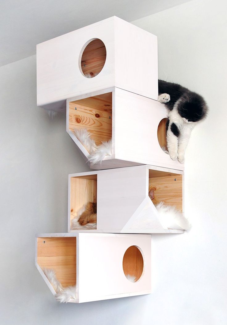 صور لبيوت الحيوانات صور لبيوت الحيوانات