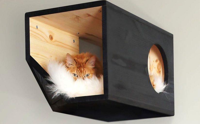 d8b5d988d8b1-d984d8a8d98ad988d8aa-d8a7d984d8add98ad988d8a7d986d8a7d8aa-825x510-2 صور لبيوت الحيوانات