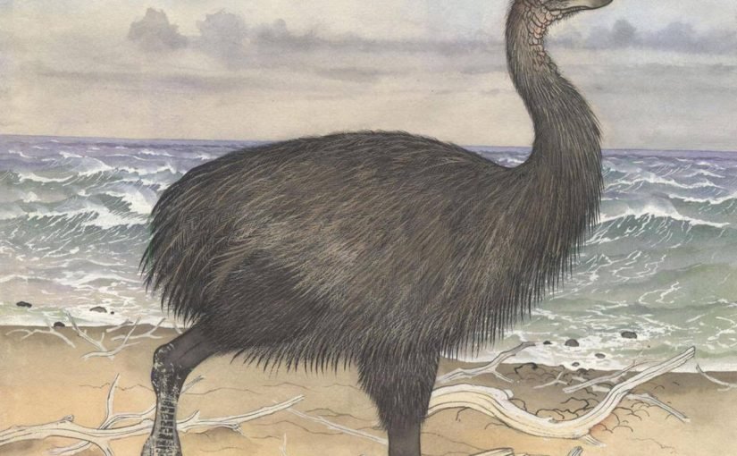 d8b7d8a7d8a6d8b1-d8a7d984d981d98ad984-825x510-2 طائر الفيل