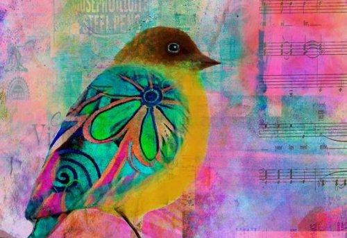 d8b7d8a7d8a6d8b1-d985d984d988d986 طائر ملون