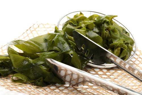 طحالب أو أعشاب بحرية