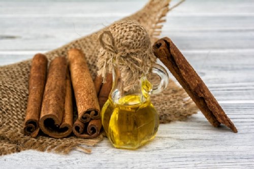 عبوة زيت زيتون وأعواد القرفة