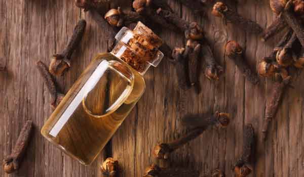 طريقة فرد الشعر بالقرنفل .. ما مدى صحتها؟ وفوائد القرنفل للشعر