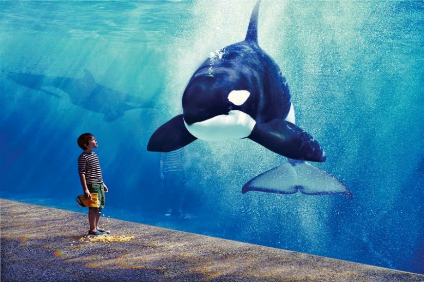 عالم البحار جاكرتا عالم البحار جاكرتا