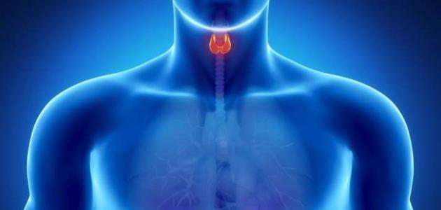 علاج فرط نشاط الغدة الدرقية
