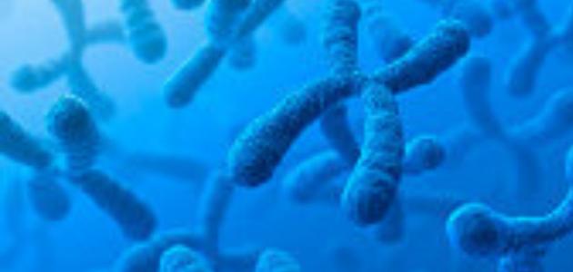 علاج متلازمة كلاينفلتر