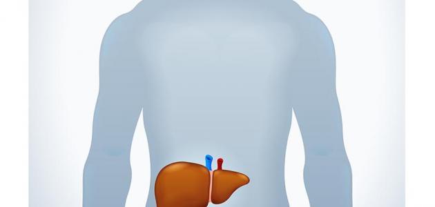 علاج مرض تليّف الكبد بالأعشاب