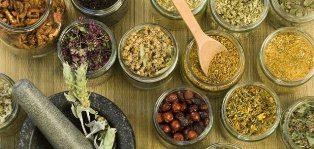 علاج هرمون الحليب بالاعشاب