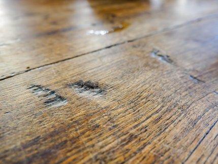 d8b9d984d8a7d985d8a7d8aa-d8a7d984d8b1d8b7d988d8a8d8a9 خشب متعفن