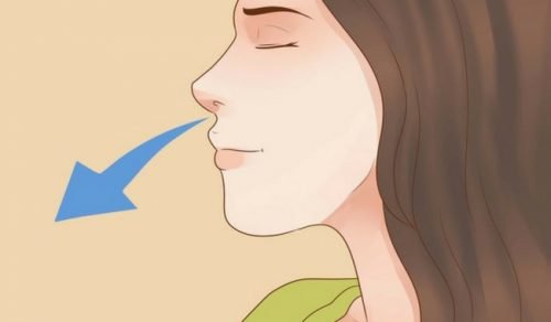 عملية التنفس
