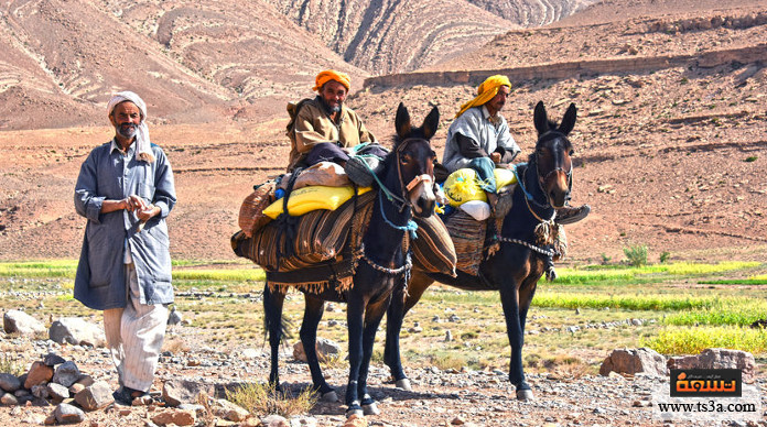 فتح الأندلس دور البربر والأمازيغ في فتح الأندلس