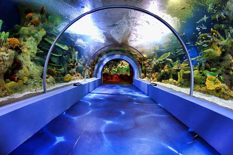 فقيه أكواريوم جدة فقيه أكواريوم جدة