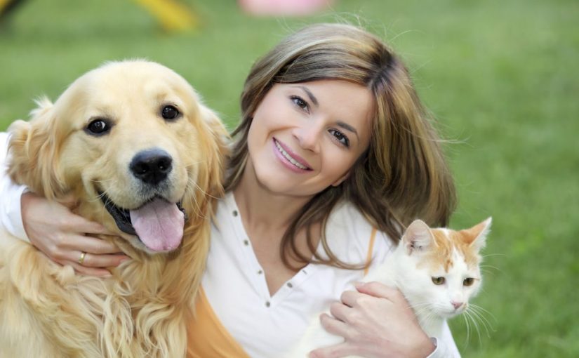 d981d988d8a7d8a6d8af-d8a7d982d8aad986d8a7d8a1-d8a7d984d983d984d8a7d8a8-825x510-2 فوائد اقتناء الكلاب