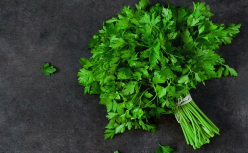 d981d988d8a7d8a6d8af-d8a7d984d8a8d982d8afd988d986d8b3-d984d984d8a8d8b4d8b1d987-825x510-2 فوائد البقدونس للبشره