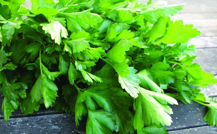 d981d988d8a7d8a6d8af-d8a7d984d8a8d982d8afd988d986d8b3-d984d984d8a8d8b4d8b1d987-825x510-3 فوائد البقدونس للبشرة وكيفية استعماله